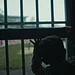 Knast in Deutschland Thumbnail
