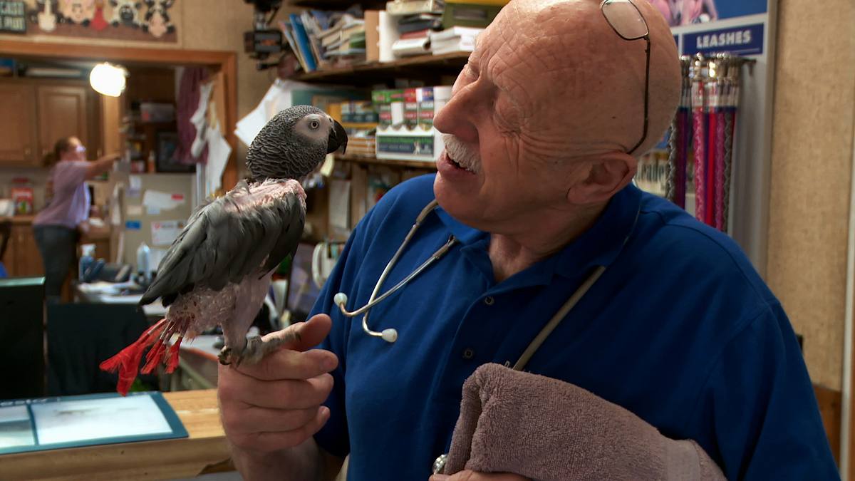 der unglaubliche dr. pol