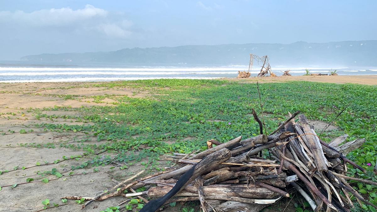naked survival: castaways