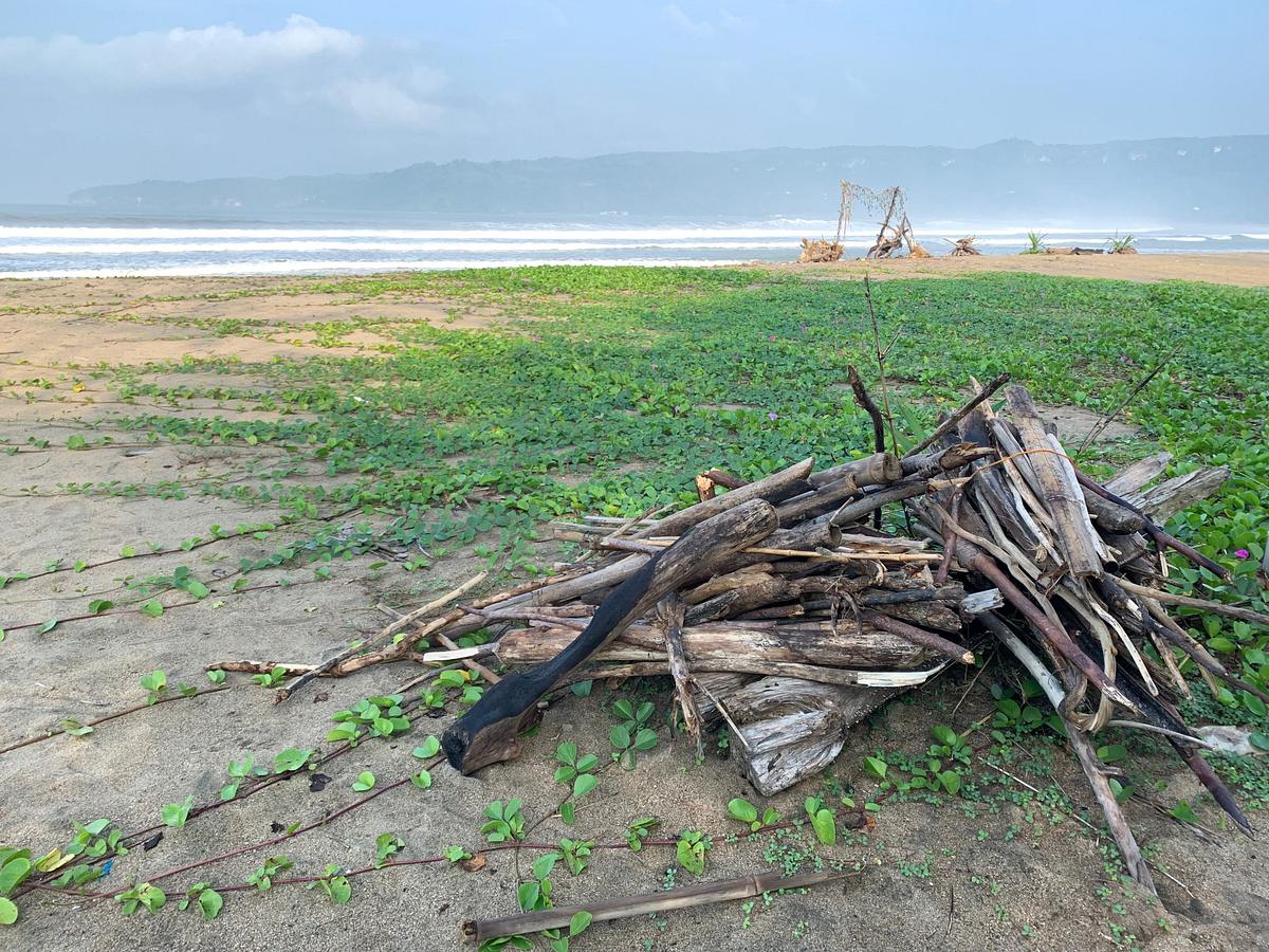 Naked Survival: Castaways naked survival: castaways