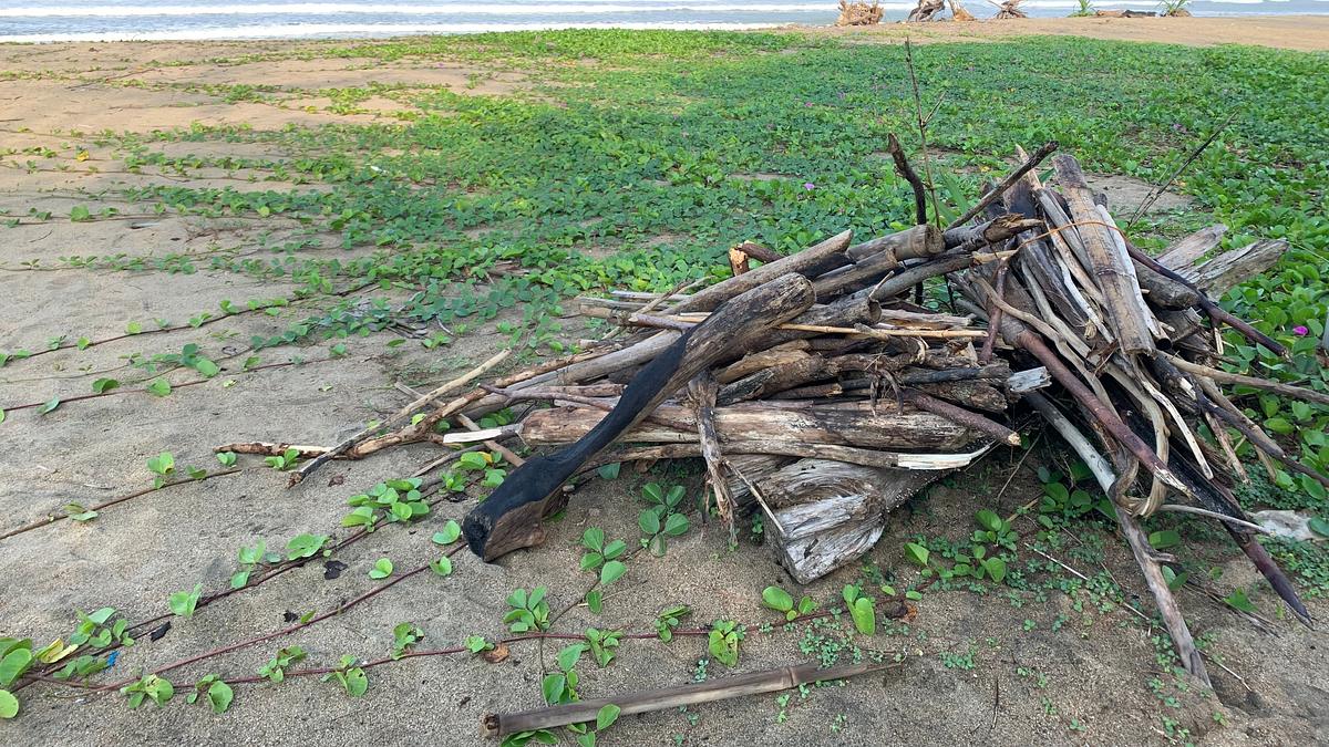 naked survival: castaways