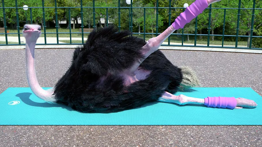 Athleticus athleticus