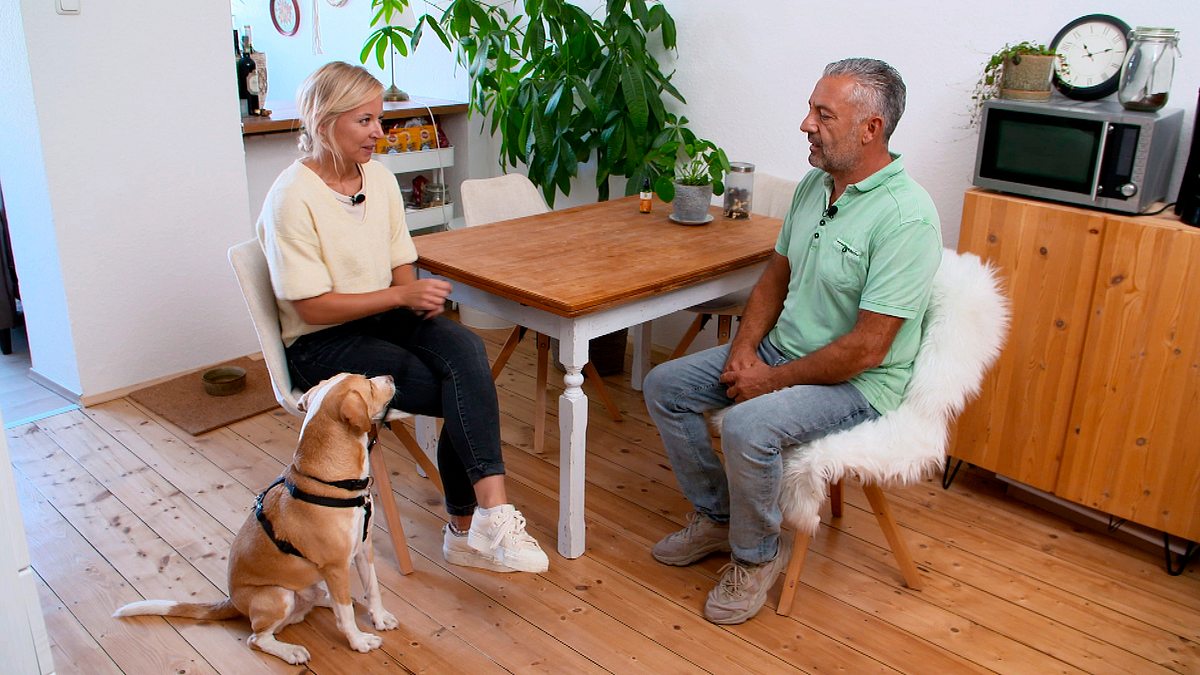 hunde verstehen!