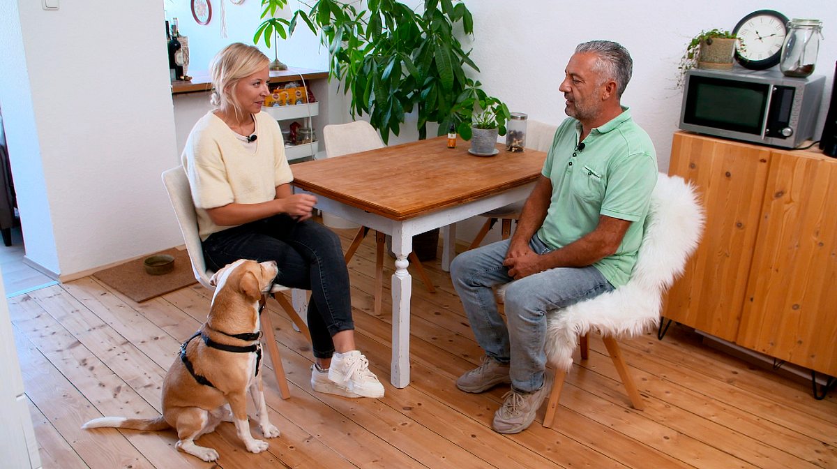 Hunde verstehen! hunde verstehen!