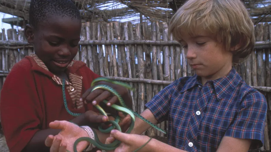 ich träumte von afrika