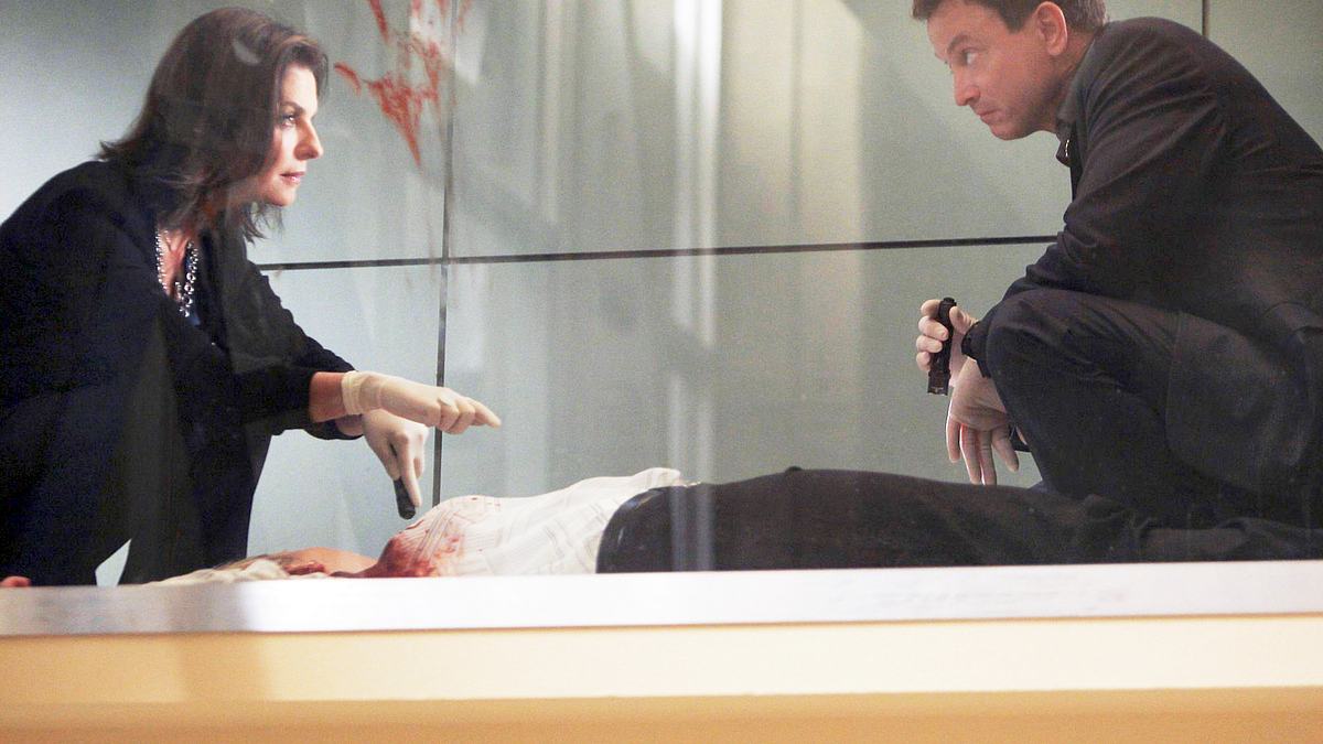 csi: ny