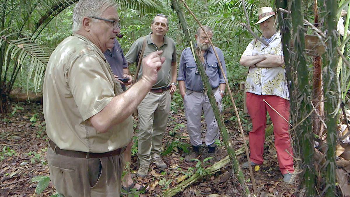 abenteuer archäologie