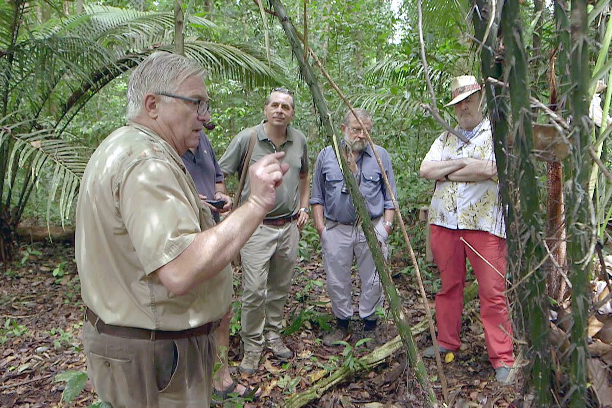 abenteuer archäologie