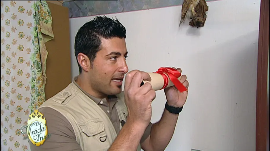 Der Trödeltrupp - Das Geld liegt im Keller der trödeltrupp - das geld liegt im keller