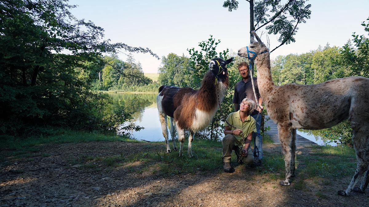 lust aufs land - bayerische hofgeschichten