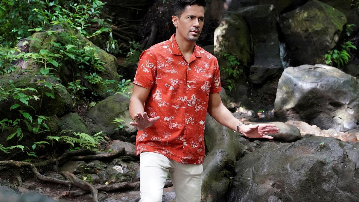 magnum p.i.