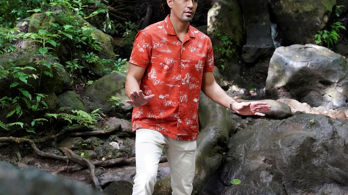 magnum p.i.
