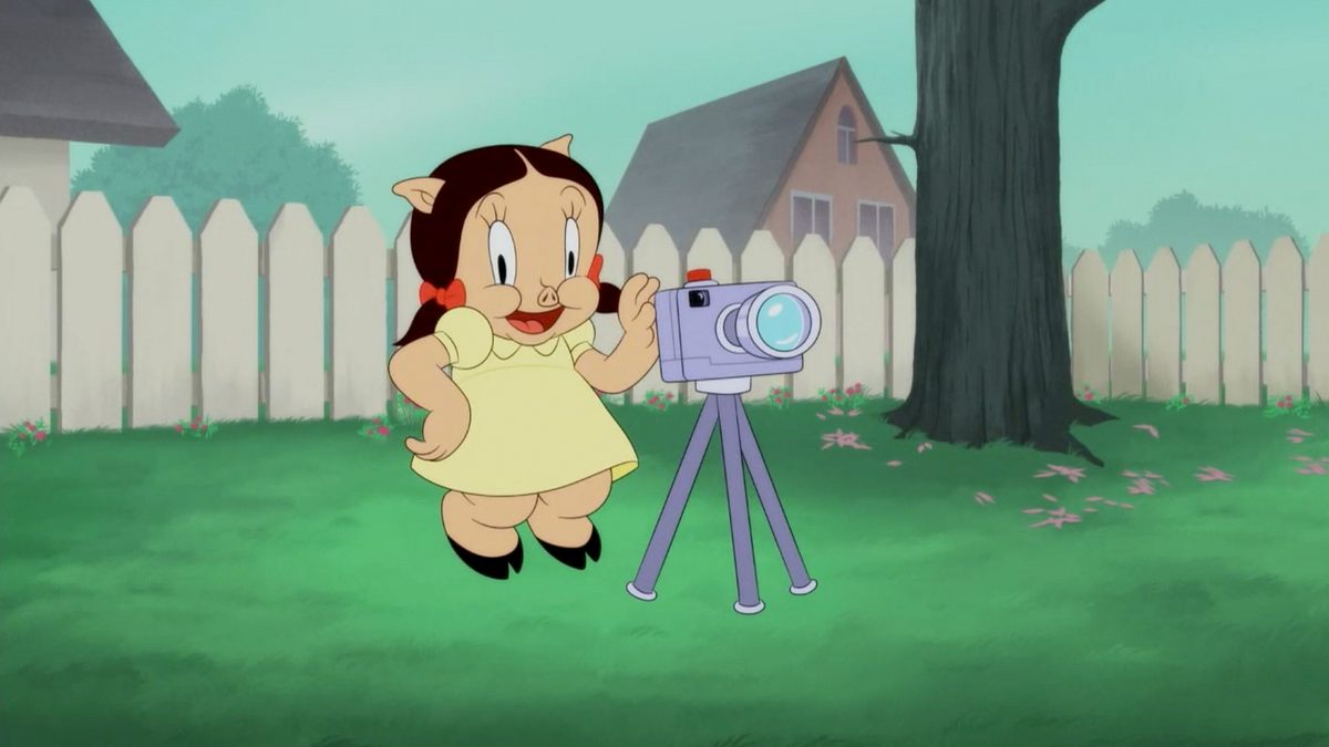 looney tunes cartoons