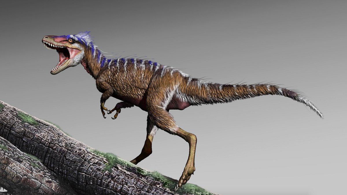 Fabelhafte Welt der Dinosaurier fabelhafte welt der dinosaurier