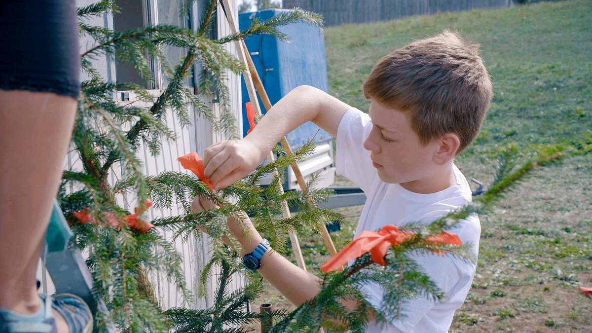 sommercamp - back to the roots