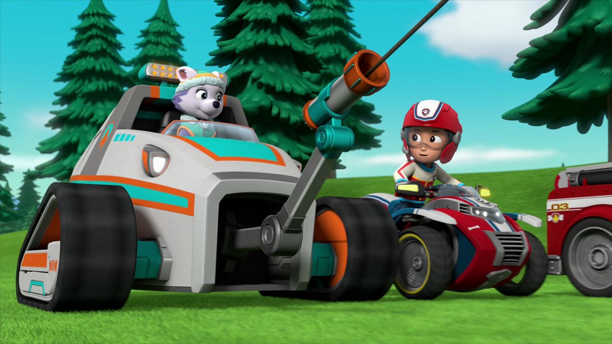paw patrol - helfer auf vier pfoten