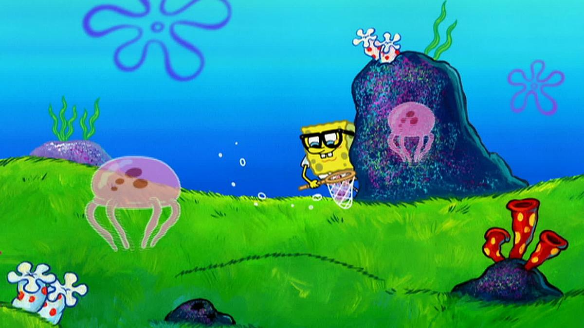 spongebob schwammkopf