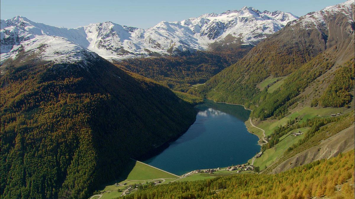 tierwelt der alpen