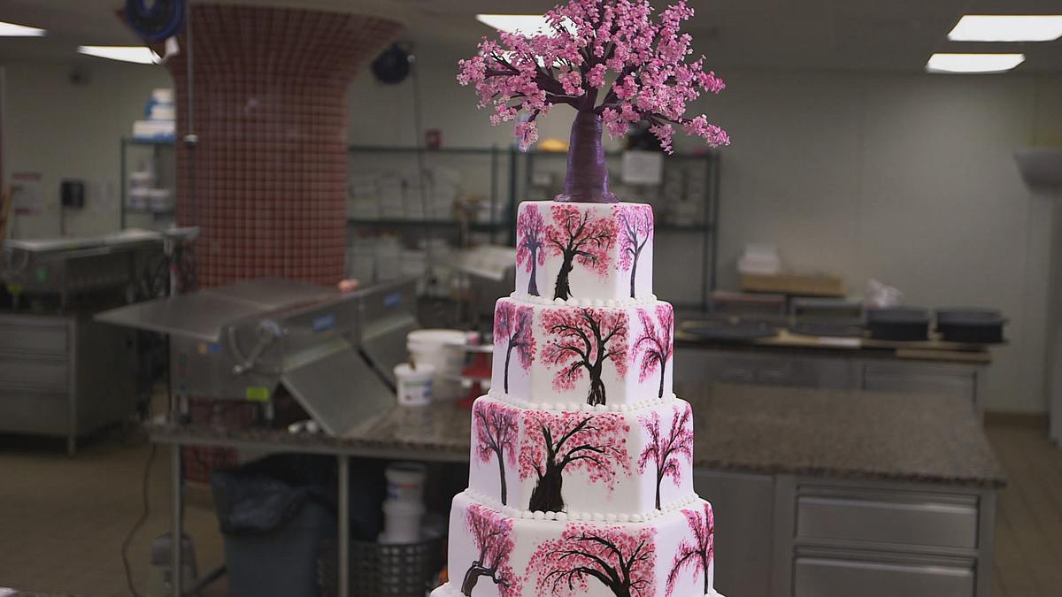 cake boss: buddys tortenwelt
