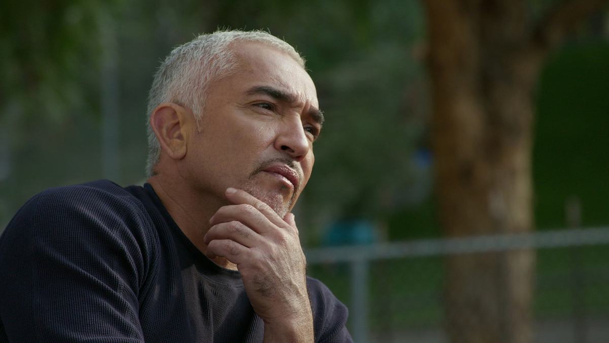 cesar millan: guter mensch, guter hund