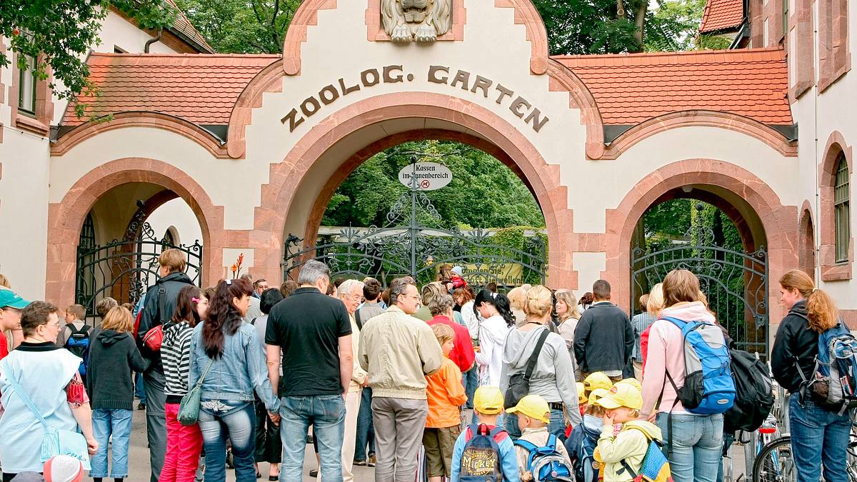 elefant, tiger & co.