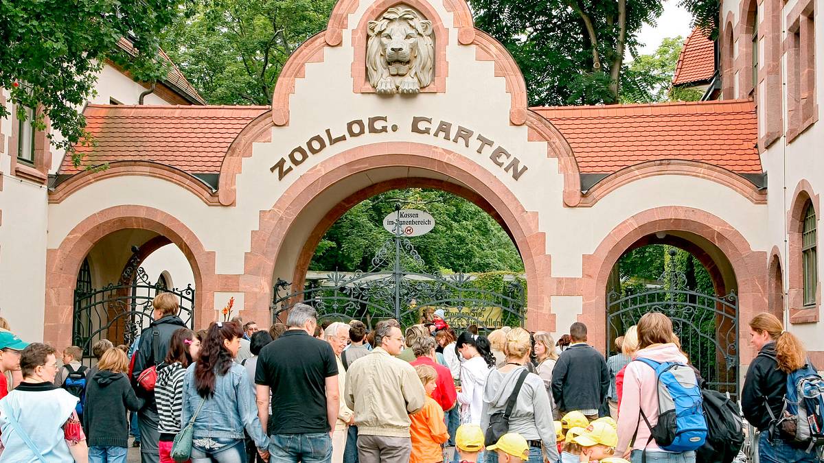 elefant, tiger & co.