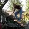 Von Hecke zu Hecke - Bunte Beetgeschichten Thumbnail