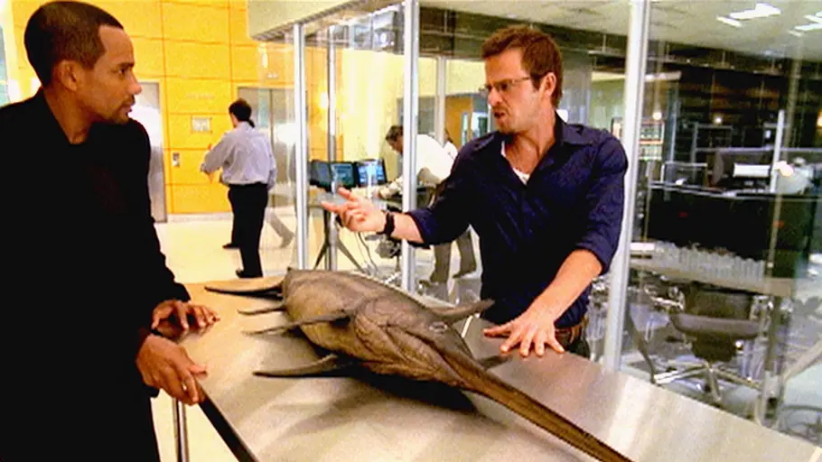 csi: ny