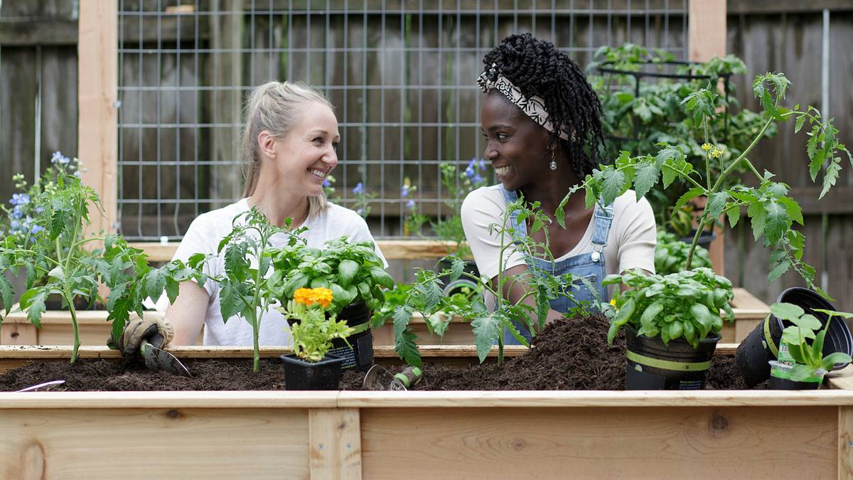 Homegrown - Aus Liebe zum Garten homegrown - aus liebe zum garten