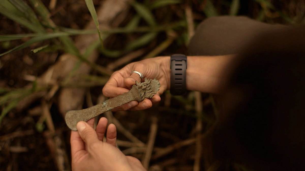 die schatzsucher von snake island