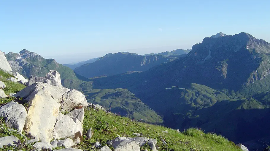 3satThementag: Alpenleben / Universum 3satthementag: alpenleben / universum