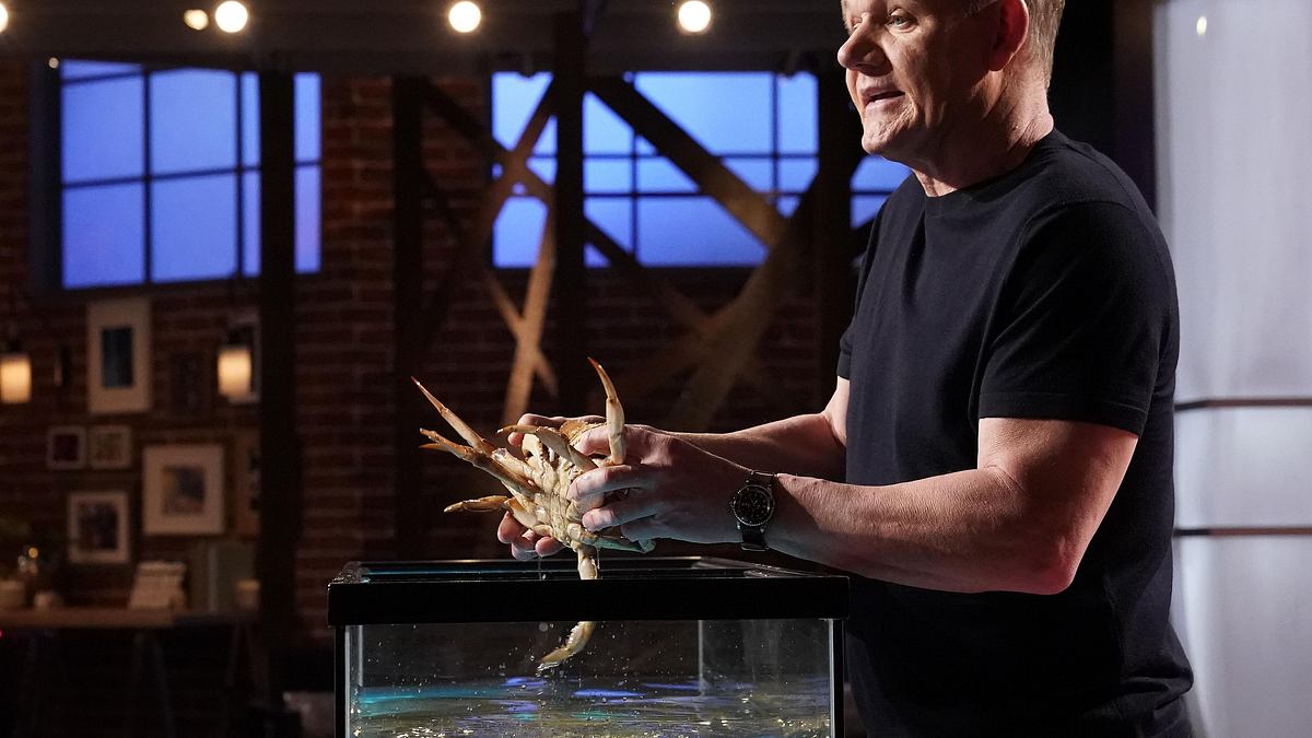 masterchef usa
