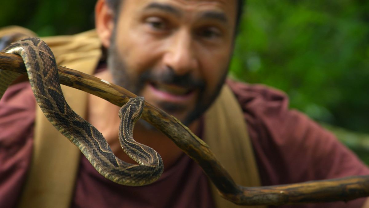 Extreme Survival mit Hazen Audel: Über die Anden extreme survival mit hazen audel: über die anden