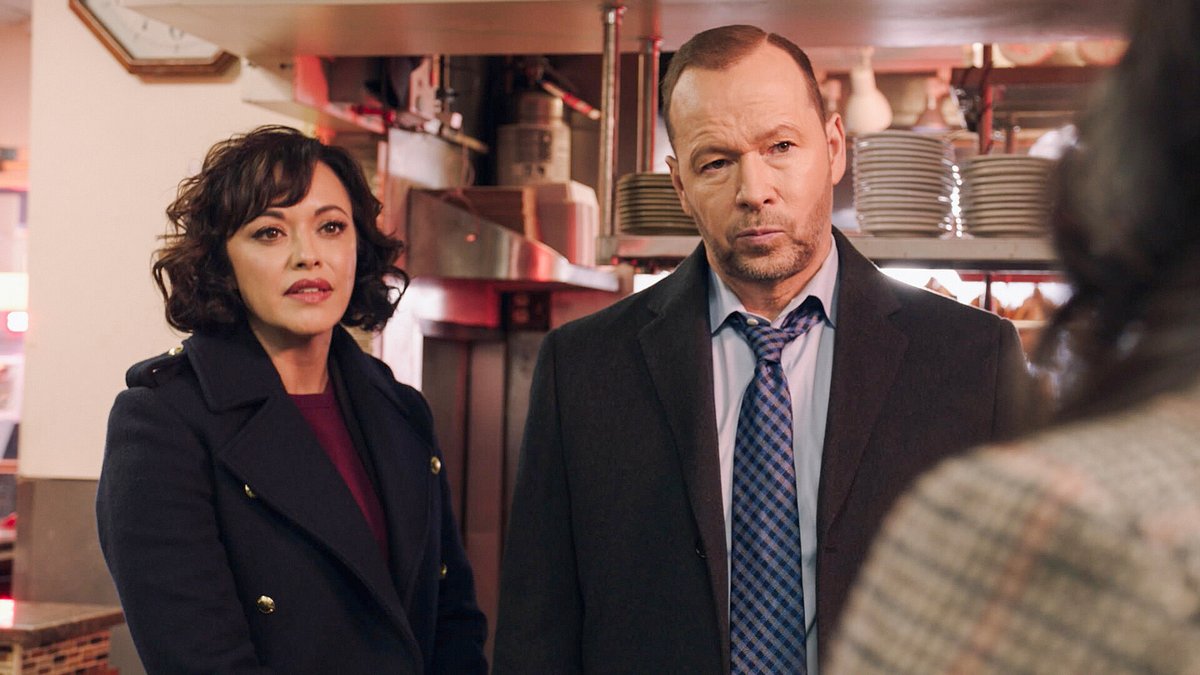 blue bloods - crime scene new york