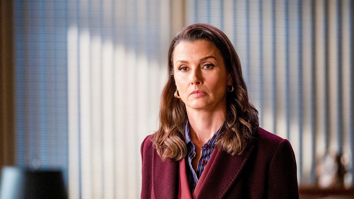 blue bloods - crime scene new york
