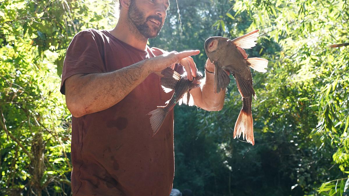 extreme survival mit hazen audel: über die anden