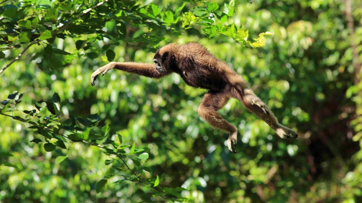 Abenteuer Wildnis abenteuer wildnis