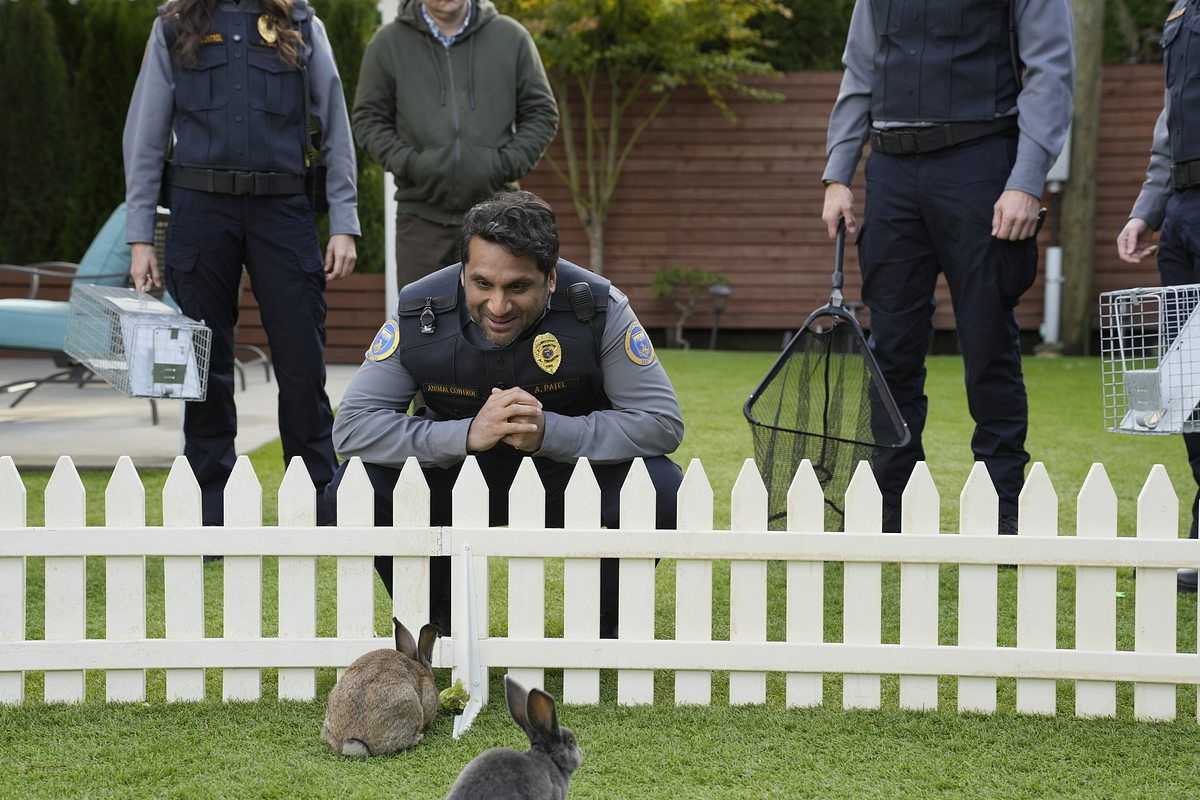 animal control