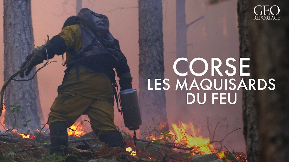 geo reportage