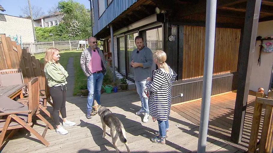 Der Hundeprofi der hundeprofi