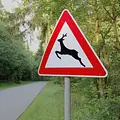 Wildwechsel: Tiere auf Achse Thumbnail