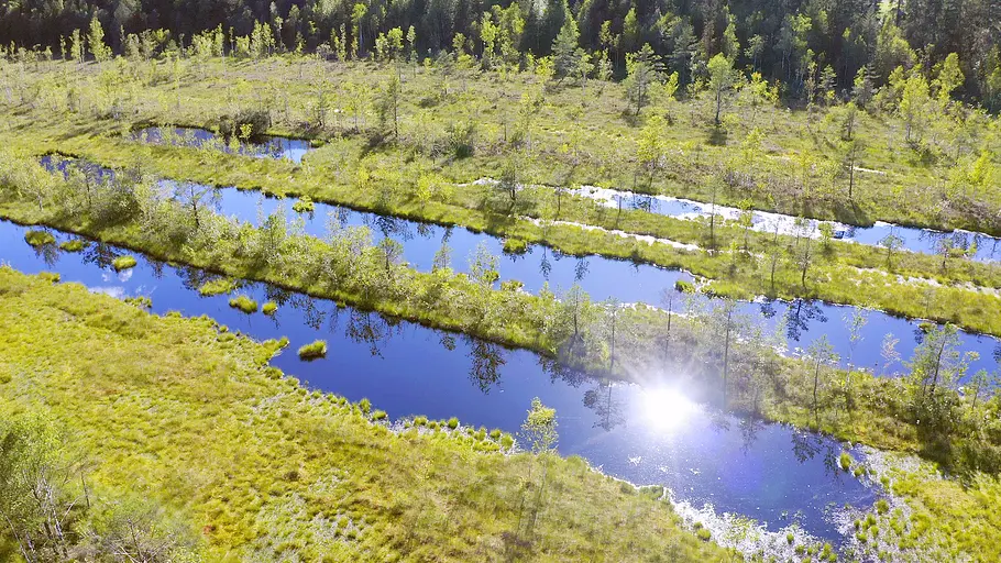 geheimnisvolle moorlandschaften