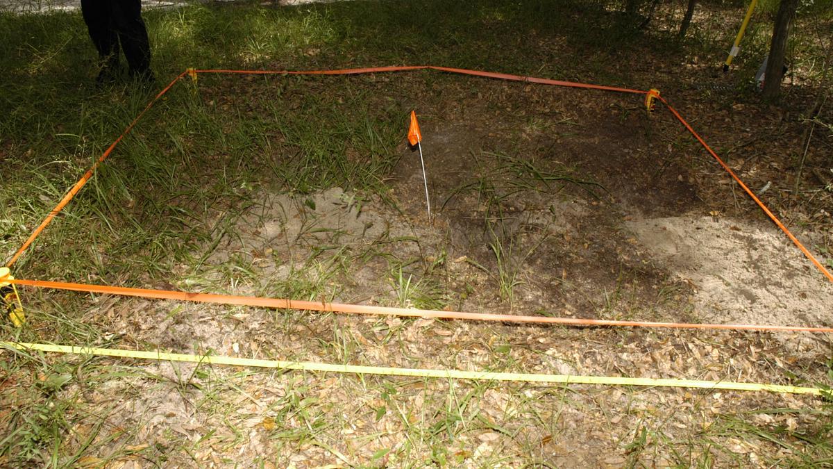 buried in the backyard - mord verjährt nicht