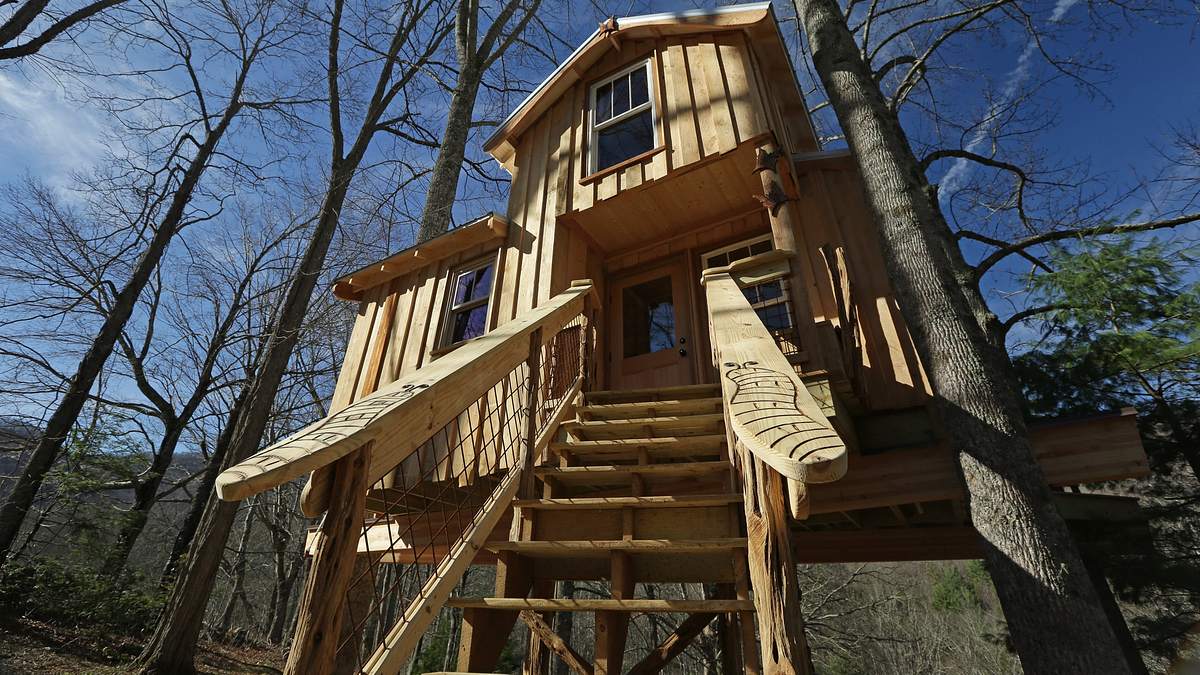 die baumhaus-profis