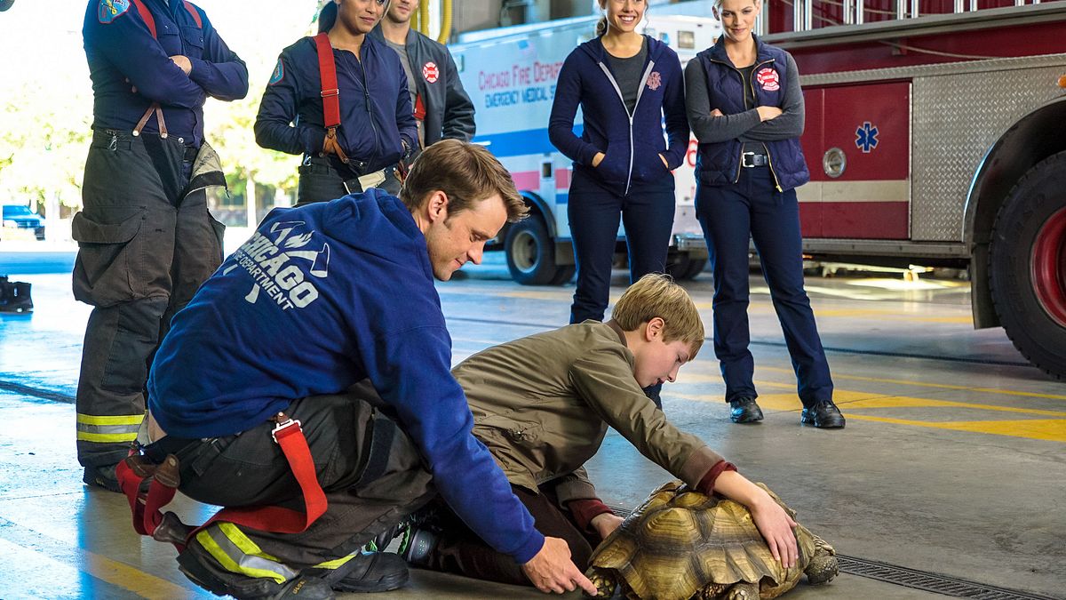 chicago fire