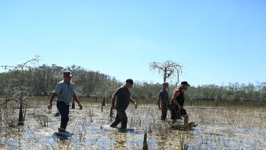die pythonjäger - einsatz in den everglades