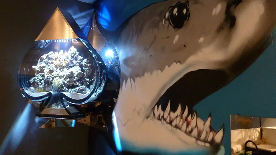 Die Aquarium-Profis die aquarium-profis