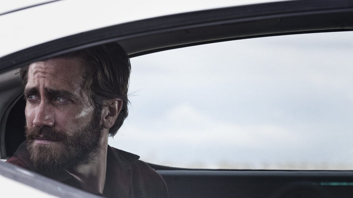 nocturnal animals