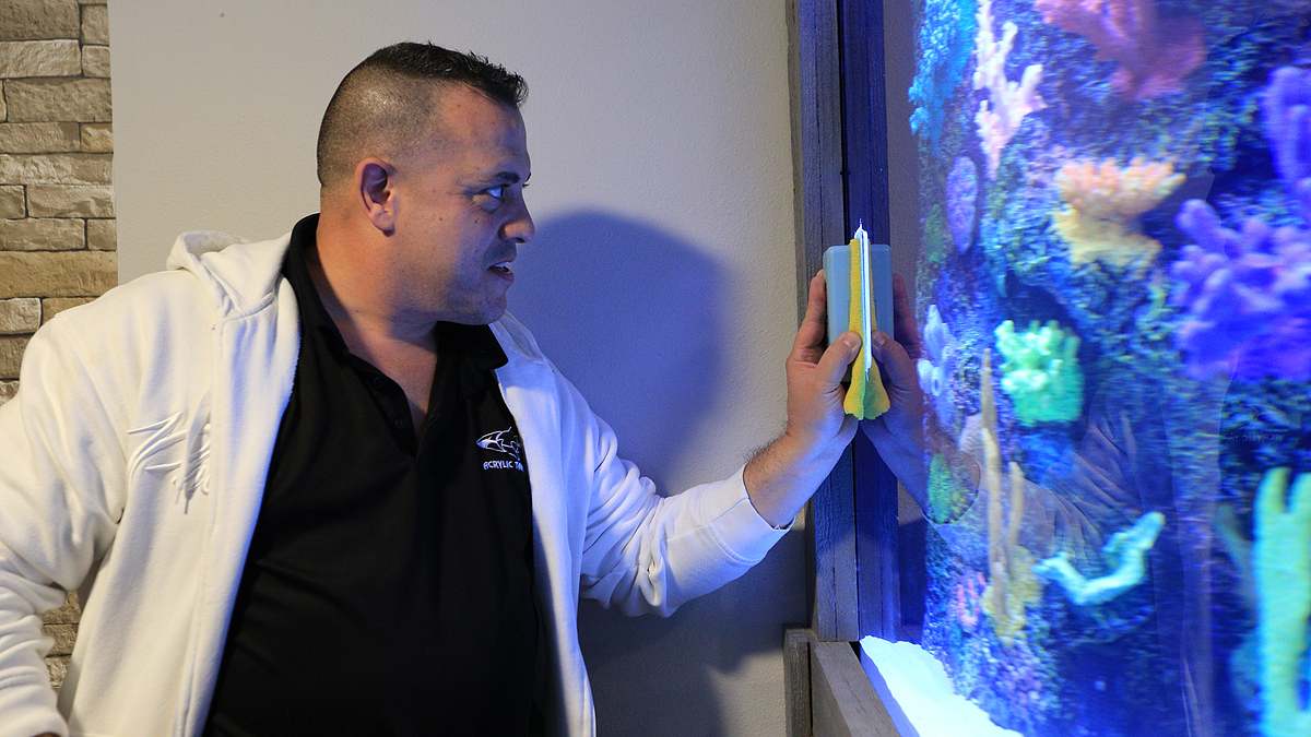 die aquarium-profis