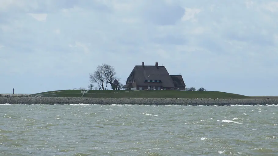 die halligen im wattenmeer